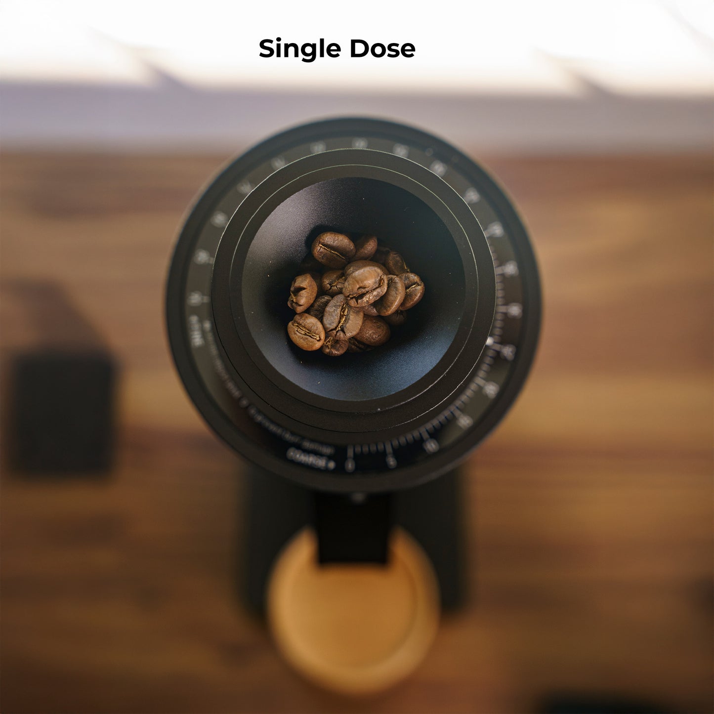MiiCoffee DC63 Single Dose Coffee Grinder